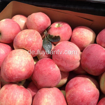 Köstlicher frischer Frucht-roter Stern-Apfel